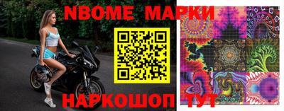 стафф Гай