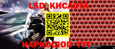 прущие грибы Гатчина