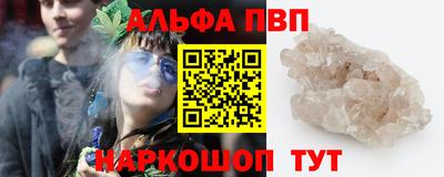стафф Гай
