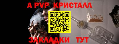 прущие грибы Гатчина