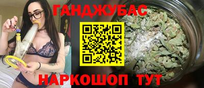 прущие грибы Гатчина