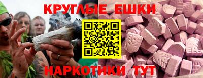стафф Гай