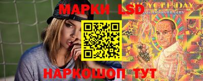 стафф Гай