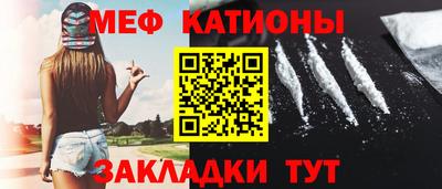 прущие грибы Гатчина