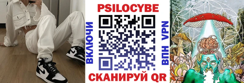 Галлюциногенные грибы MAGIC MUSHROOMS  гидра ссылка  Камышлов 