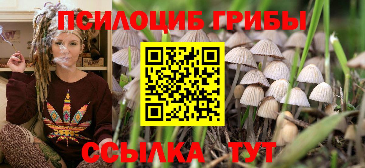 Камышлов  Псилоцибиновые грибы MAGIC MUSHROOMS  Вход с VPN 