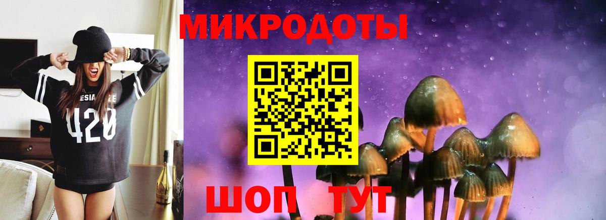 Галлюциногенные грибы мицелий Камышлов