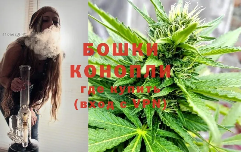 Каннабис OG Kush  Камышлов 